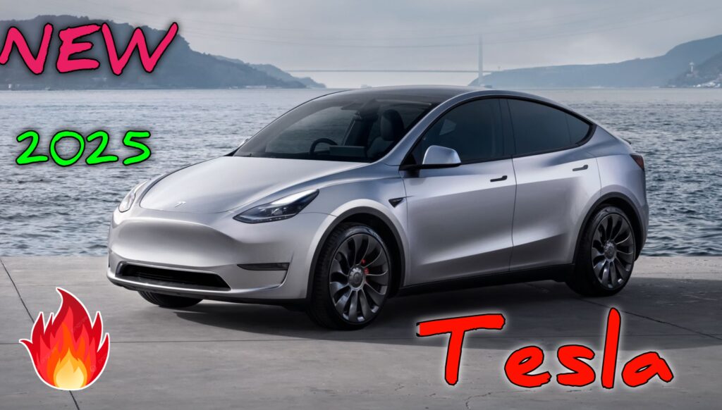 Tesla car launch in india 